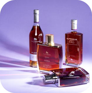 Les Classiques : l’essence du Cognac à travers ses arômes